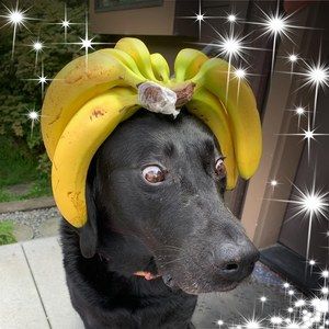 Meet your Posher, Maile